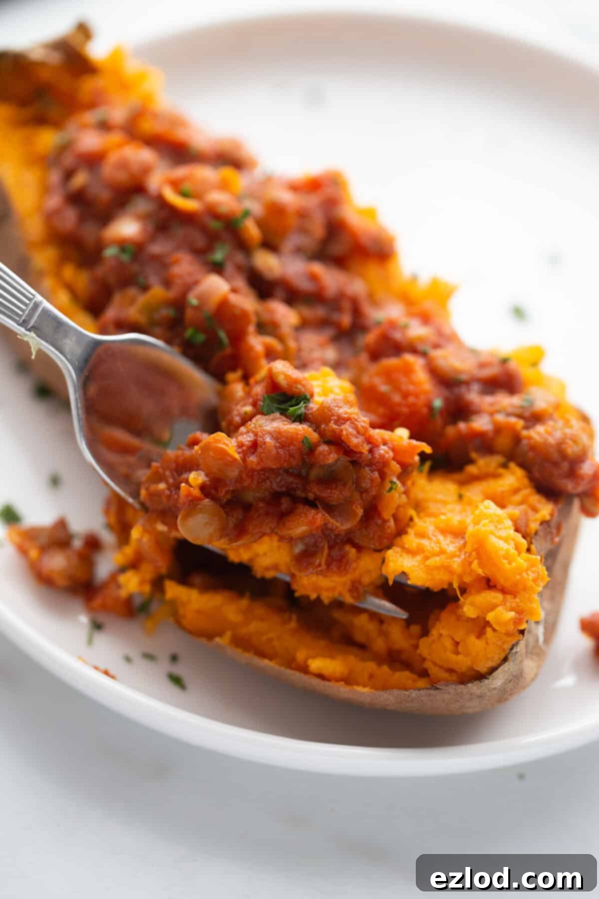 A close-up shot of Instant Pot Lentil Sloppy Joes served in a bowl, showcasing its rich, saucy texture and vibrant colors.