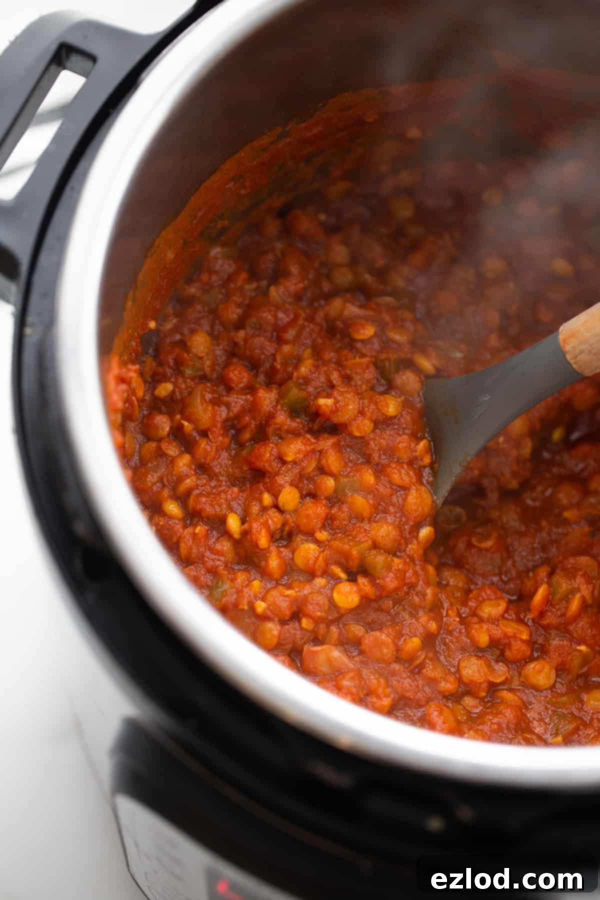 A close-up shot of Instant Pot Lentil Sloppy Joes served in a baked sweet potato half, garnished with fresh herbs.