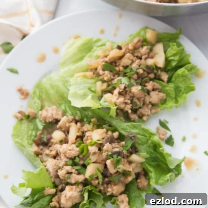 Healthy Chicken Lettuce Wraps with a delicious sauce.