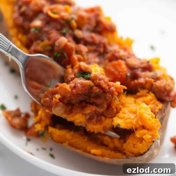 Instant Pot Lentil Sloppy Joes over baked sweet potato