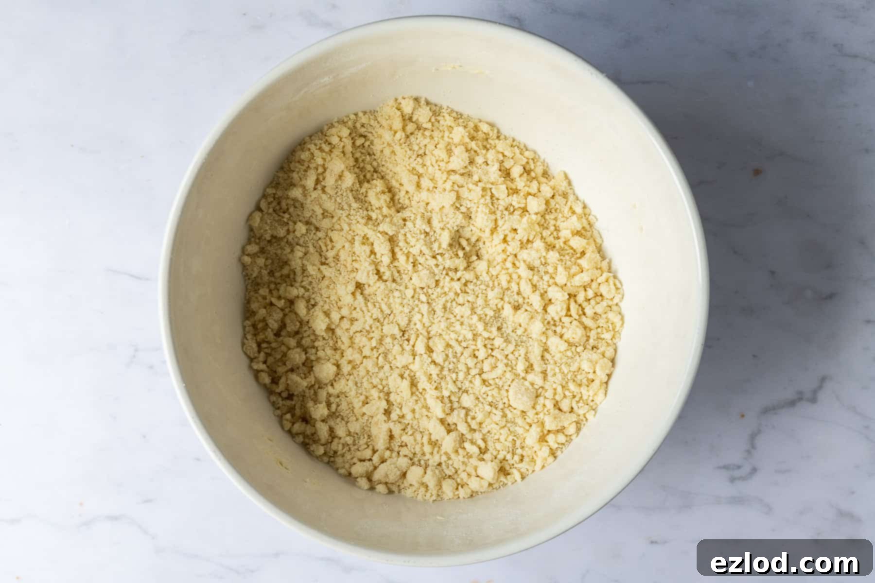 Step 1: Vegan butter has been expertly rubbed into the plain flour, creating a fine breadcrumb-like texture.