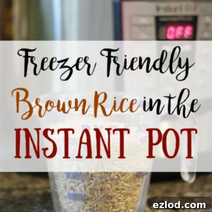 Steamed brown rice and fresh green beans, perfect as healthy side dishes