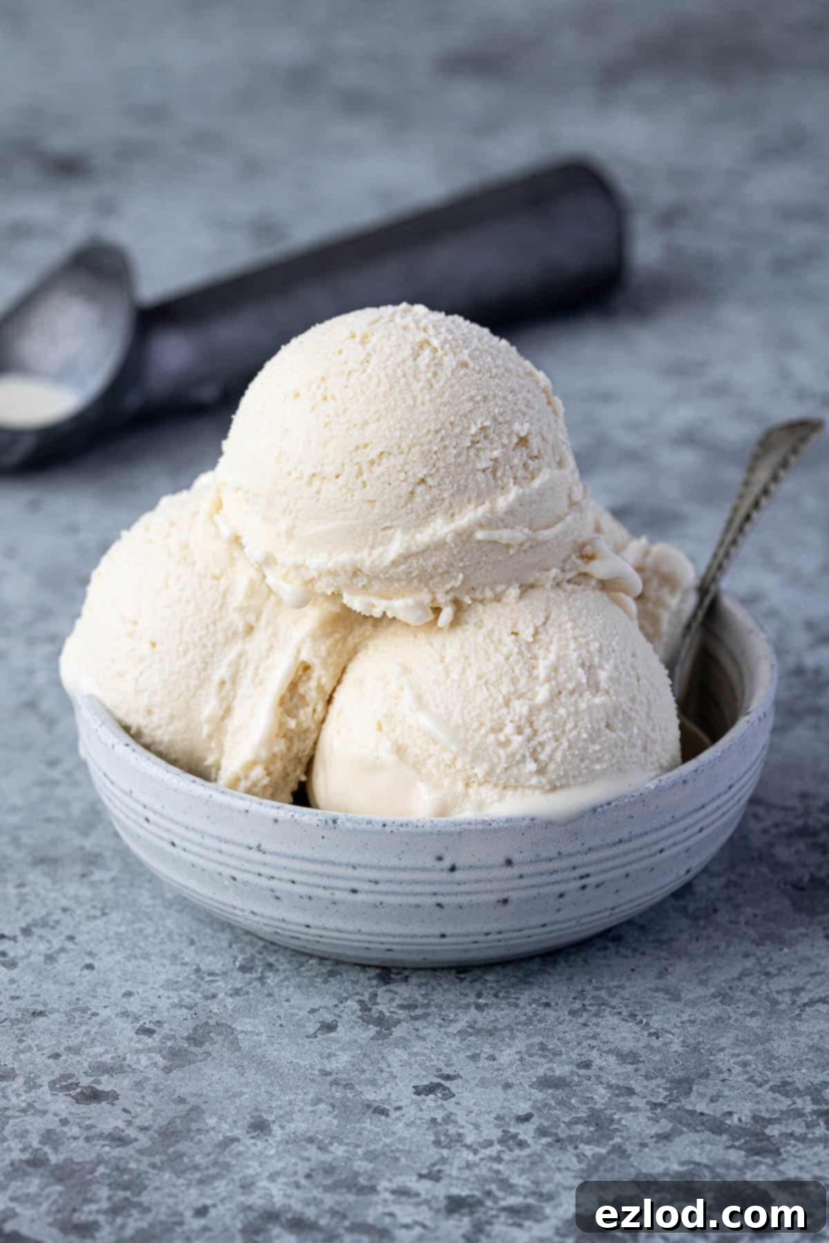 A beautifully presented bowl of creamy vegan rice ice cream, ready to be enjoyed.