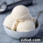 A bowl of creamy vegan rice ice cream.