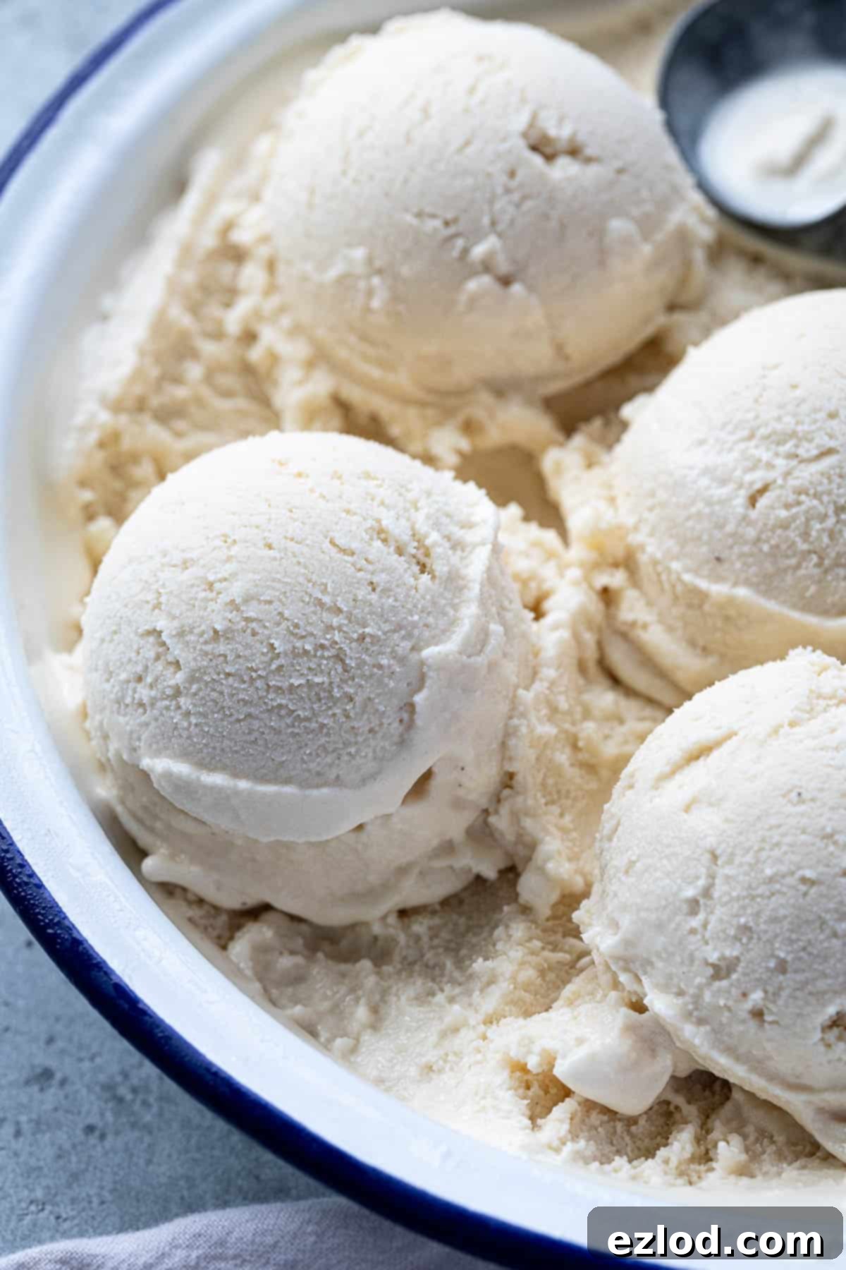Close-up of a scoop of creamy vegan rice ice cream in a small dish, highlighting its smooth texture.