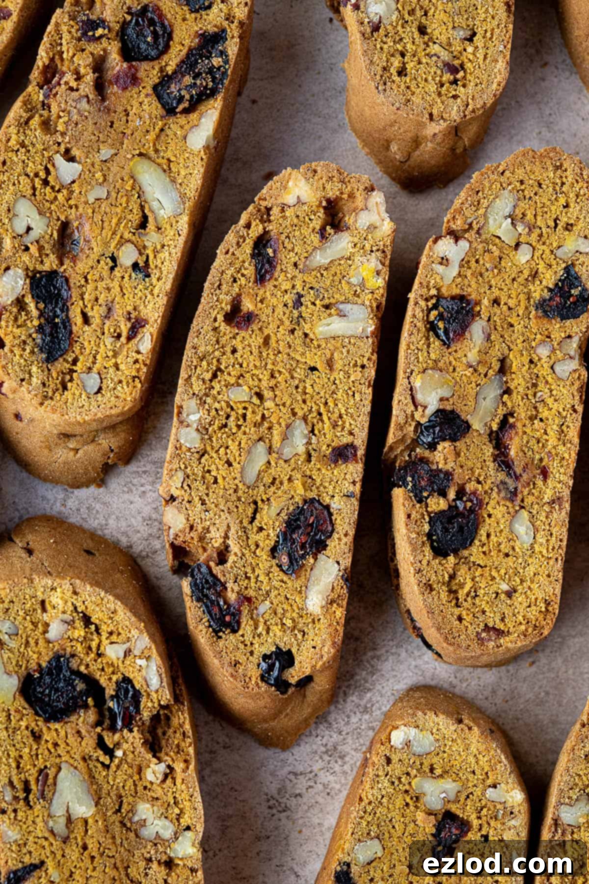 Close-up of a vegan pumpkin biscotti on a textured background, highlighting its rustic appeal.