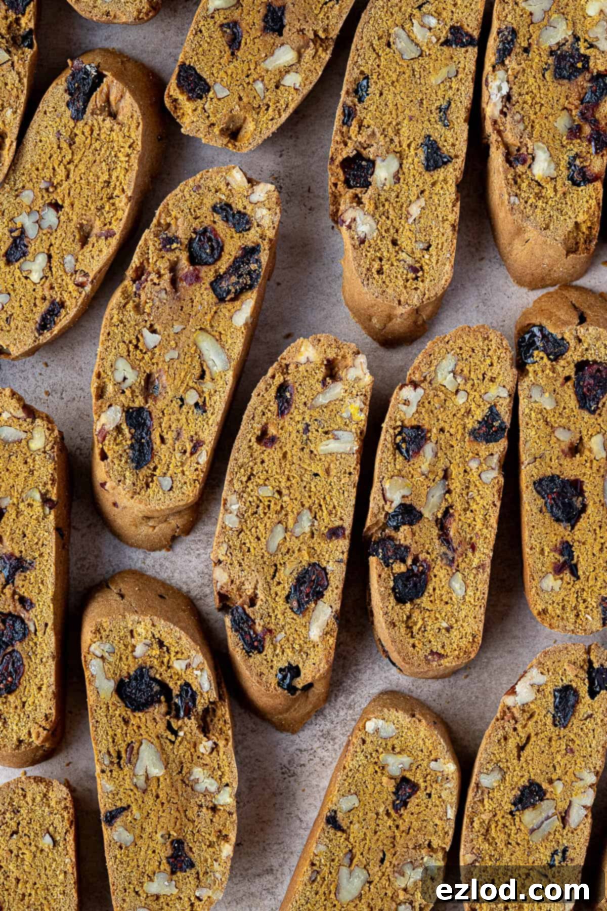 Individual vegan pumpkin biscotti, perfectly golden and studded with cranberries and pecans.
