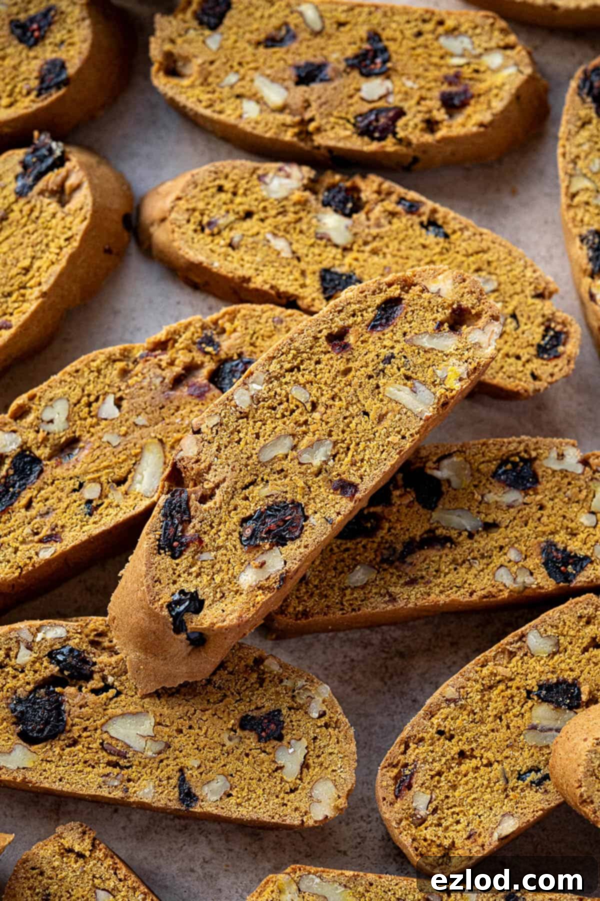 Close-up view of a single vegan pumpkin biscotti, highlighting its golden exterior and visible fruit and nut inclusions.