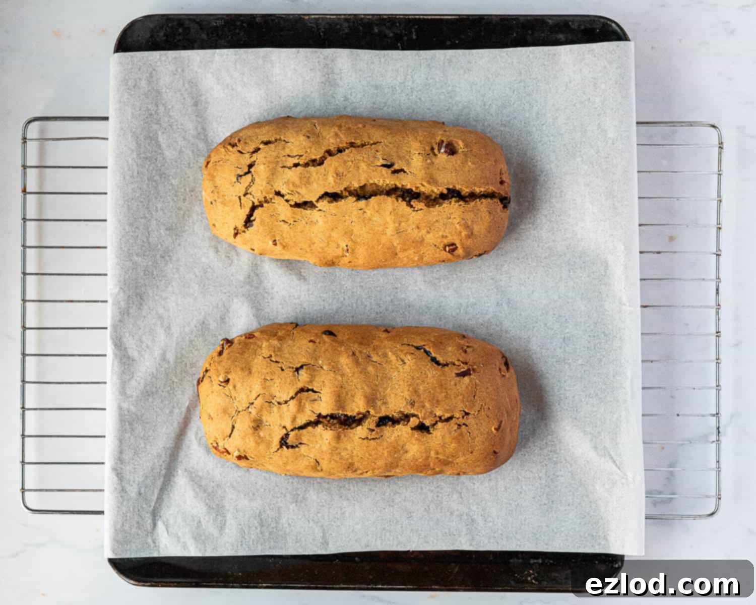 Baked vegan pumpkin biscotti logs, golden and firm, just out of the oven.