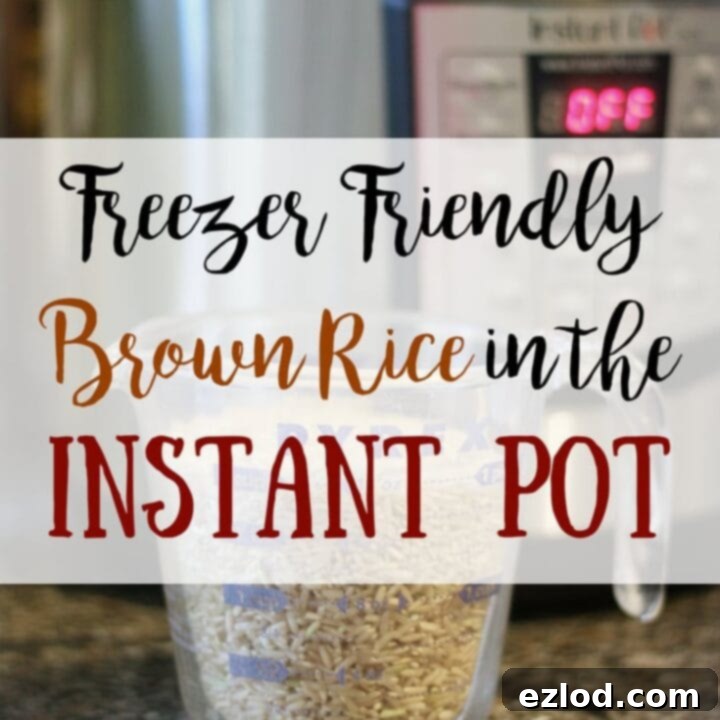 Instant Pot Brown Rice with green beans