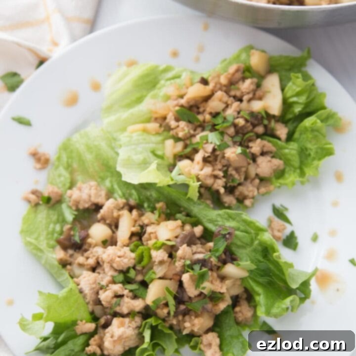 Healthy Chicken Lettuce Wraps
