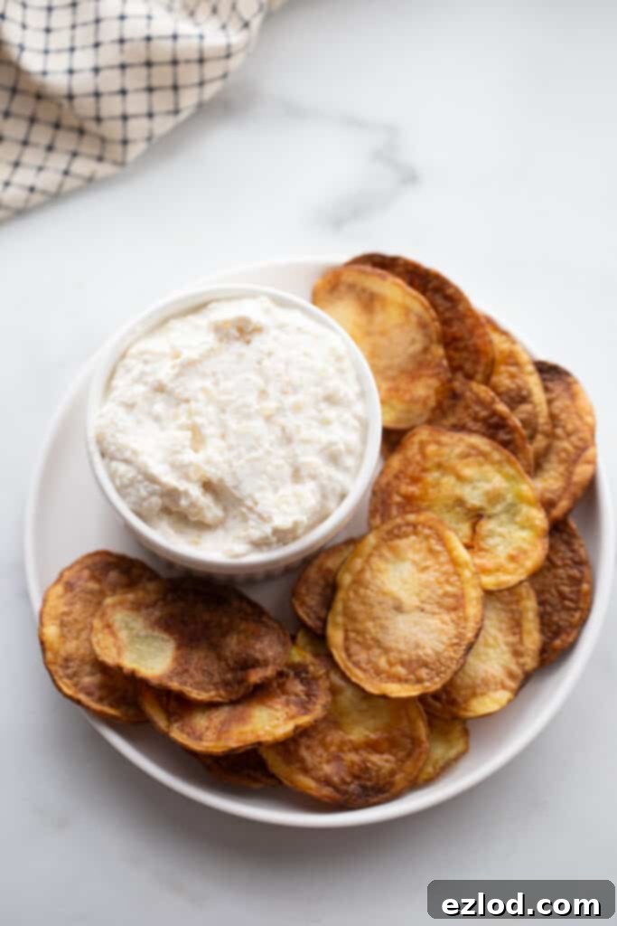 Creamy Greek Yogurt French Onion Dip 2 A plate of crispy Air Fryer Potato Chips with a small bowl of creamy Greek yogurt French Onion Dip.