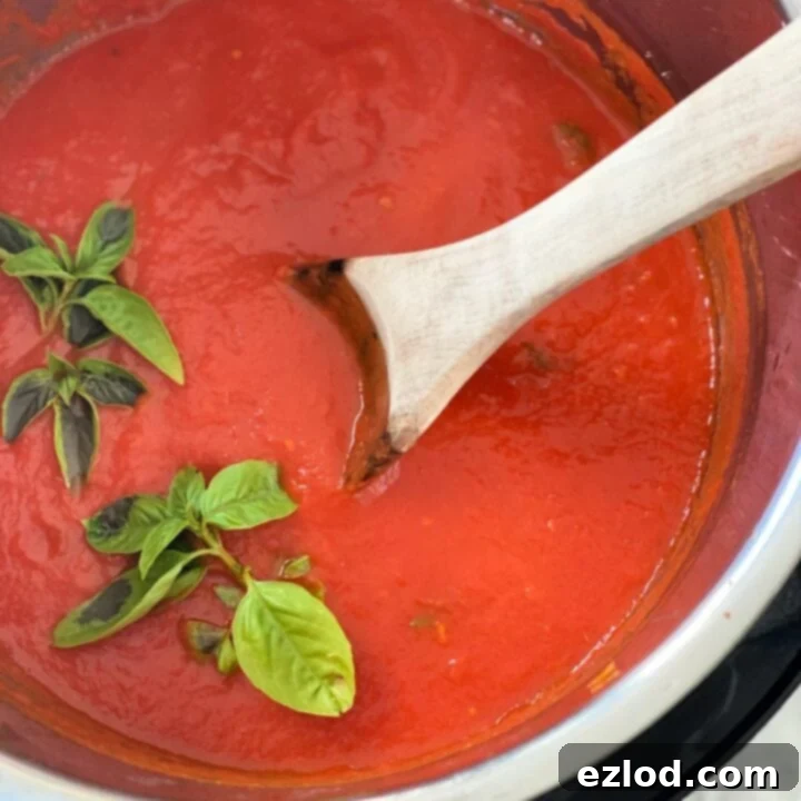 Homemade meatballs with fresh tomato sauce and pasta