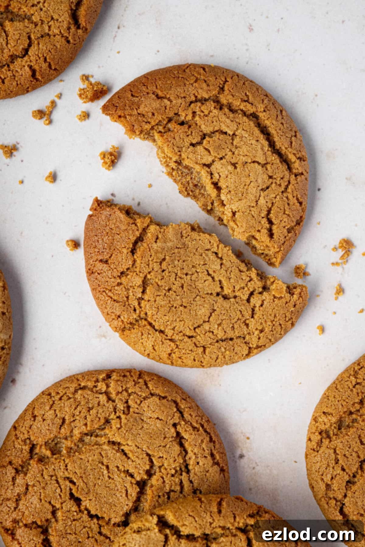 Close up of a ginger cookie, freshly baked and broken in half, revealing its soft, chewy interior.