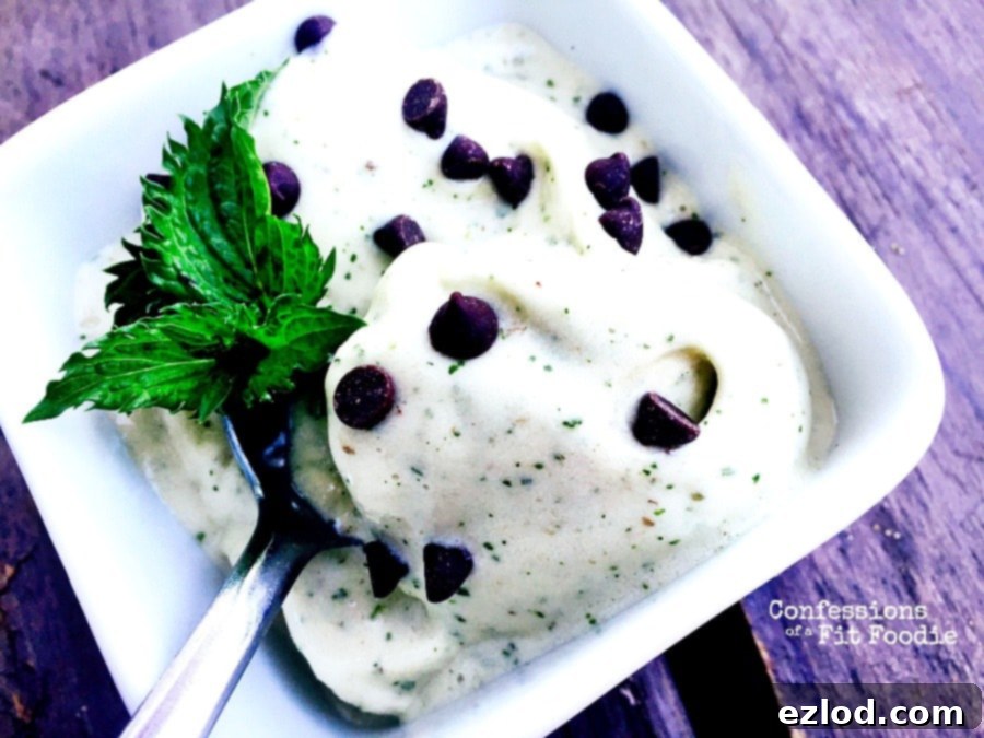 Delicious and creamy healthy mint chip banana ice cream served in a bowl, garnished with fresh mint leaves and chocolate chips.
