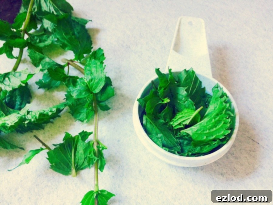 Close-up of fresh mint leaves, a key ingredient for the vibrant mint chip banana ice cream flavor.
