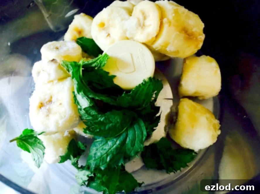 Frozen banana slices and fresh mint leaves being added to a powerful food processor, ready to be blended into nice cream.