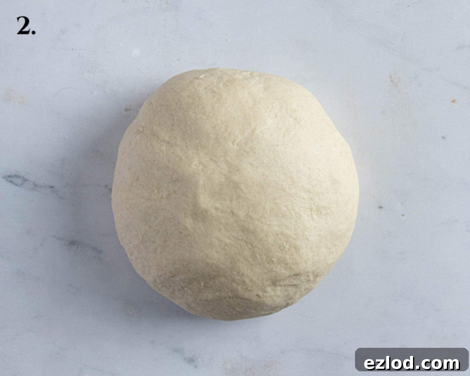 Step 2: The kneaded dough, now smooth and elastic.