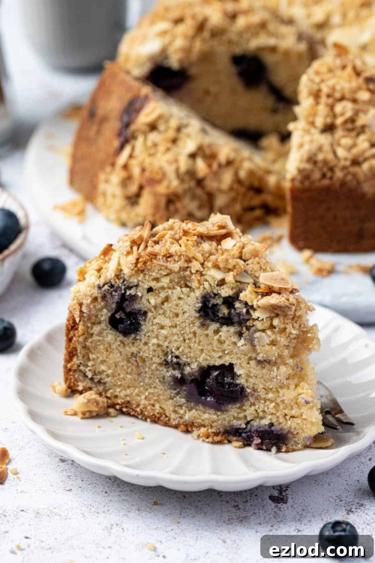 A perfectly baked slice of vegan blueberry crumb cake resting on a small white plate, showcasing its moist interior and generous streusel topping.