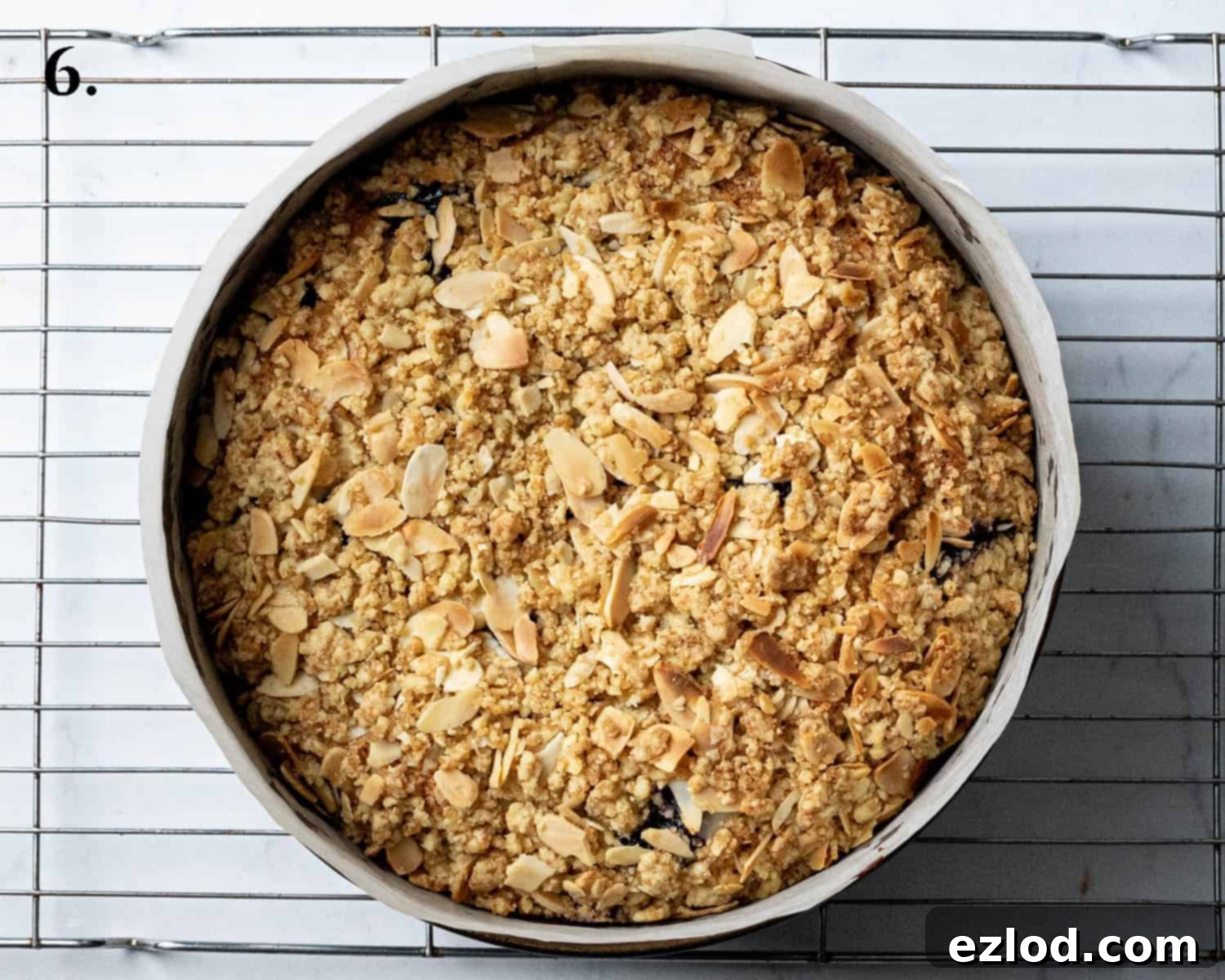 Step 6: The beautifully baked vegan blueberry crumb cake, golden brown and puffed up, freshly out of the oven.