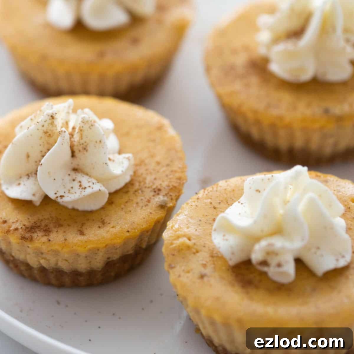 A plate with 4 healthy pumpkin cheesecake bites topped with whipped cream.