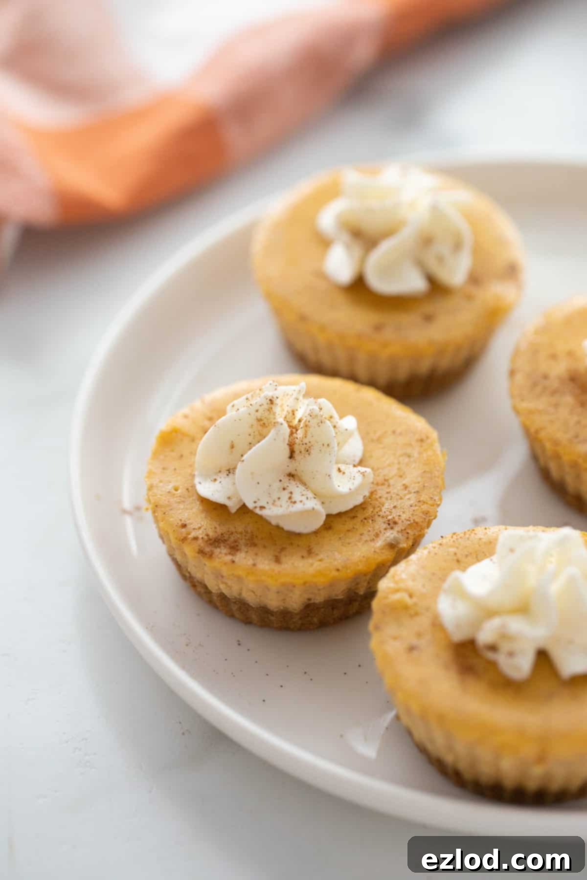 Close up of mini pumpkin cheesecakes.