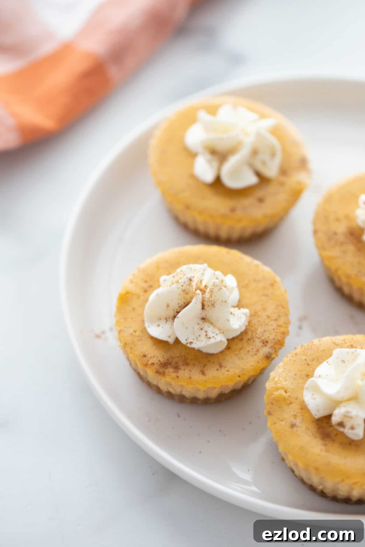A plate with 4 healthy pumpkin cheesecake bites topped with whipped cream.