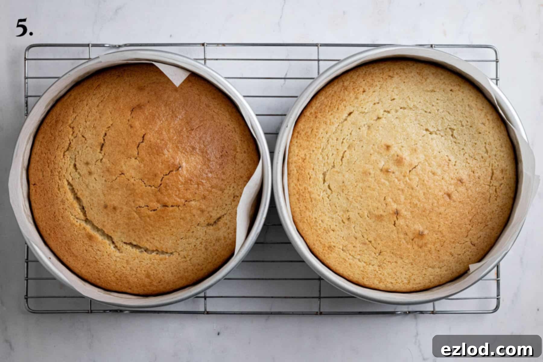 Step 5 of making vegan Boston cream pie: Two perfectly baked and cooled cake layers, ready for assembly.