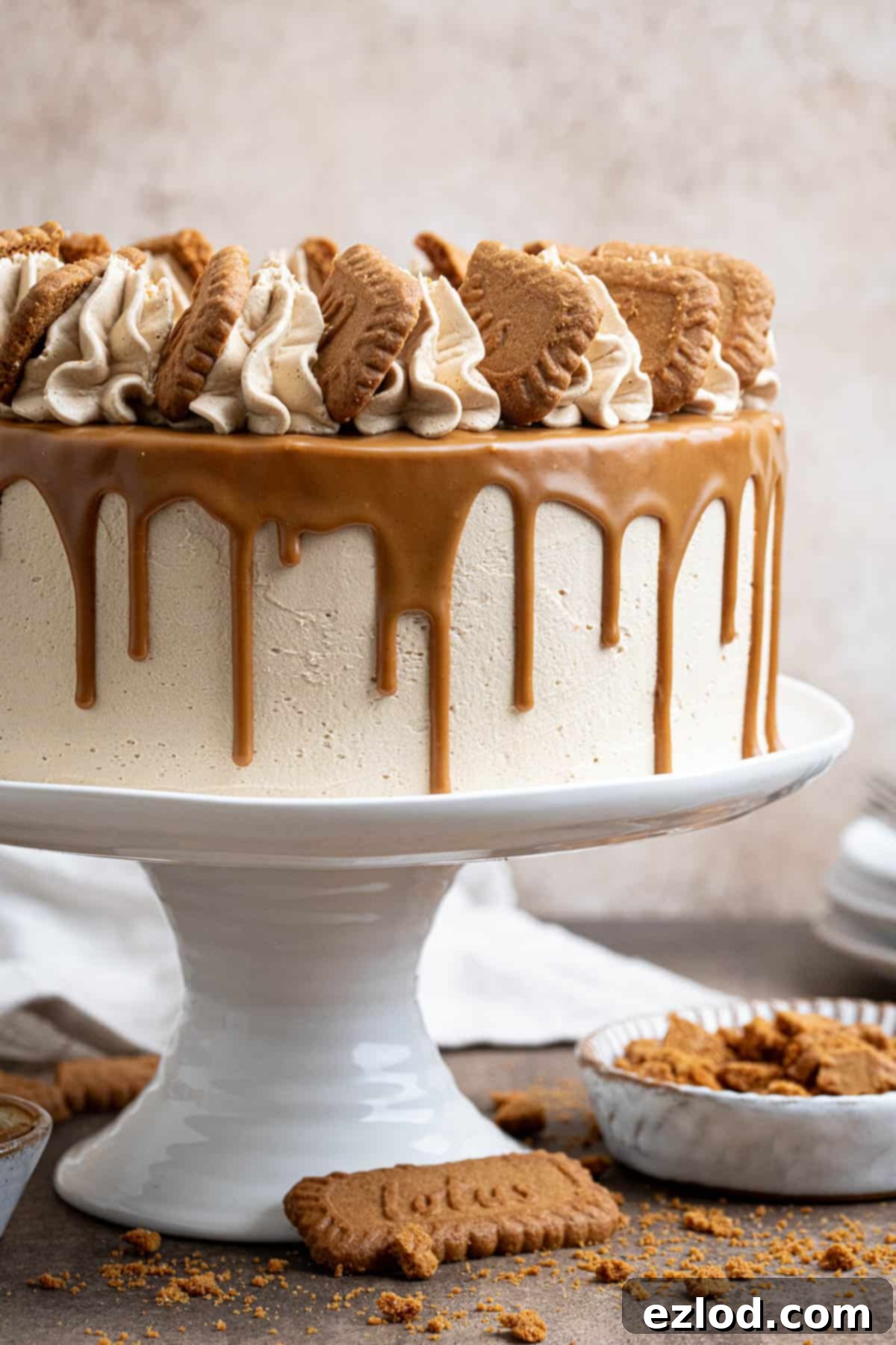 Close up of vegan Biscoff layer cake.