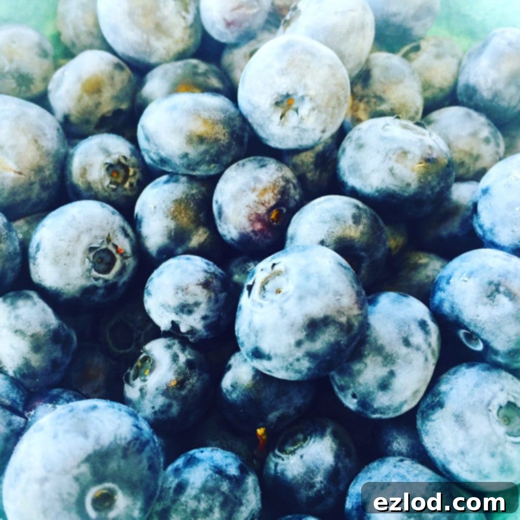 Maine blueberries