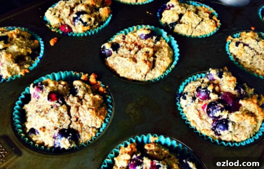 Blueberry Muffins for the 21 Day Fix