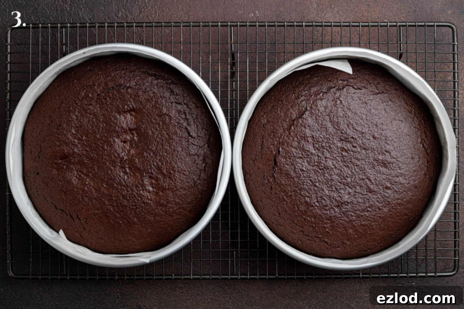 Decadent Vegan Treacle Chocolate Cake 8 Step 3 in making treacle chocolate cake: two perfectly baked cake layers, golden brown and ready for frosting.