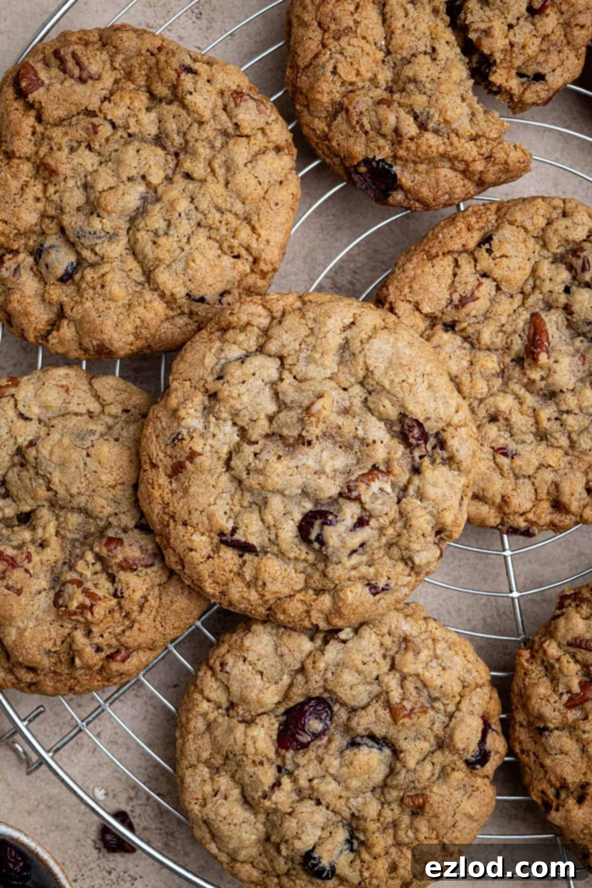 Close up of freshly baked vegan cranberry pecan oatmeal cookies cooling on a wire rack.