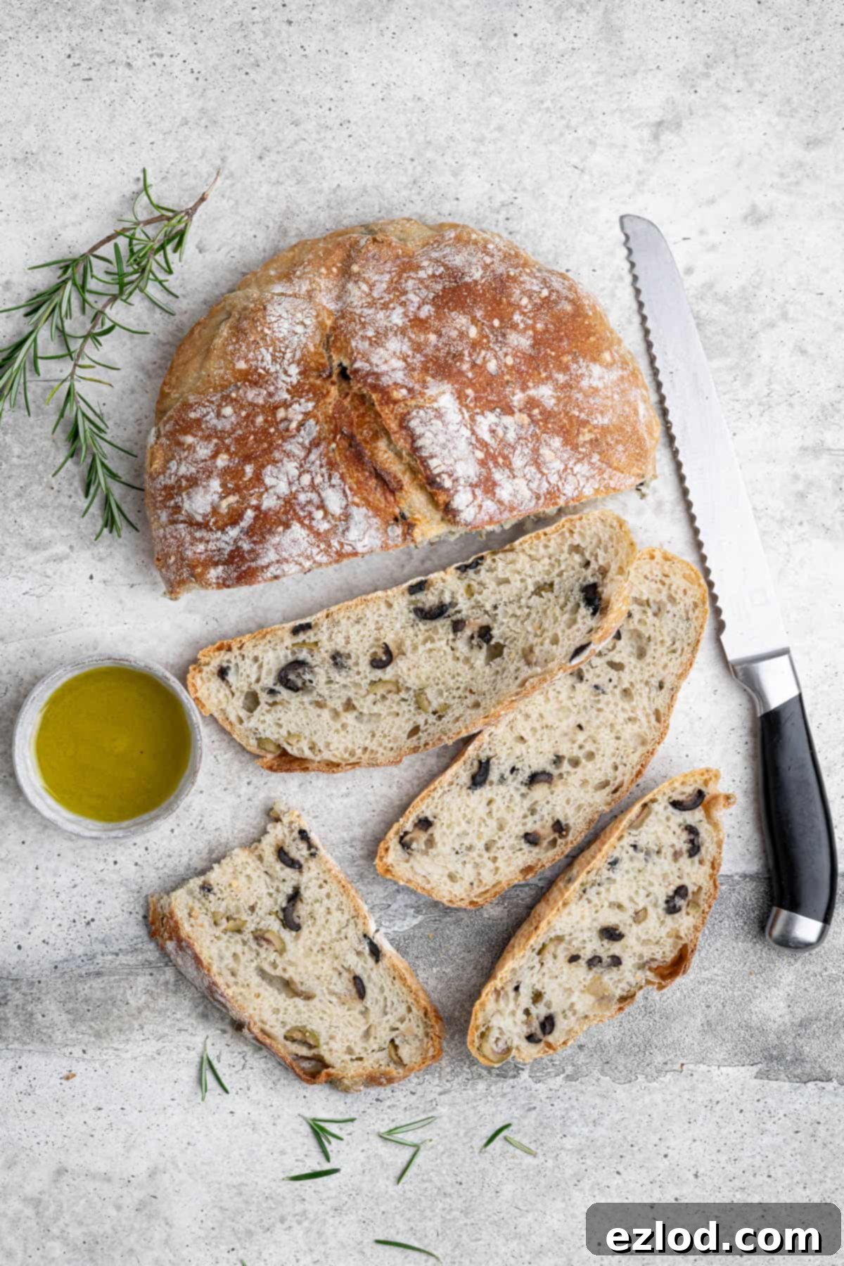 Generous slices of golden-brown no-knead olive bread, revealing its airy crumb, resting on a gray surface next to a bread knife, fresh rosemary sprigs, and a small bowl of olive oil for dipping.