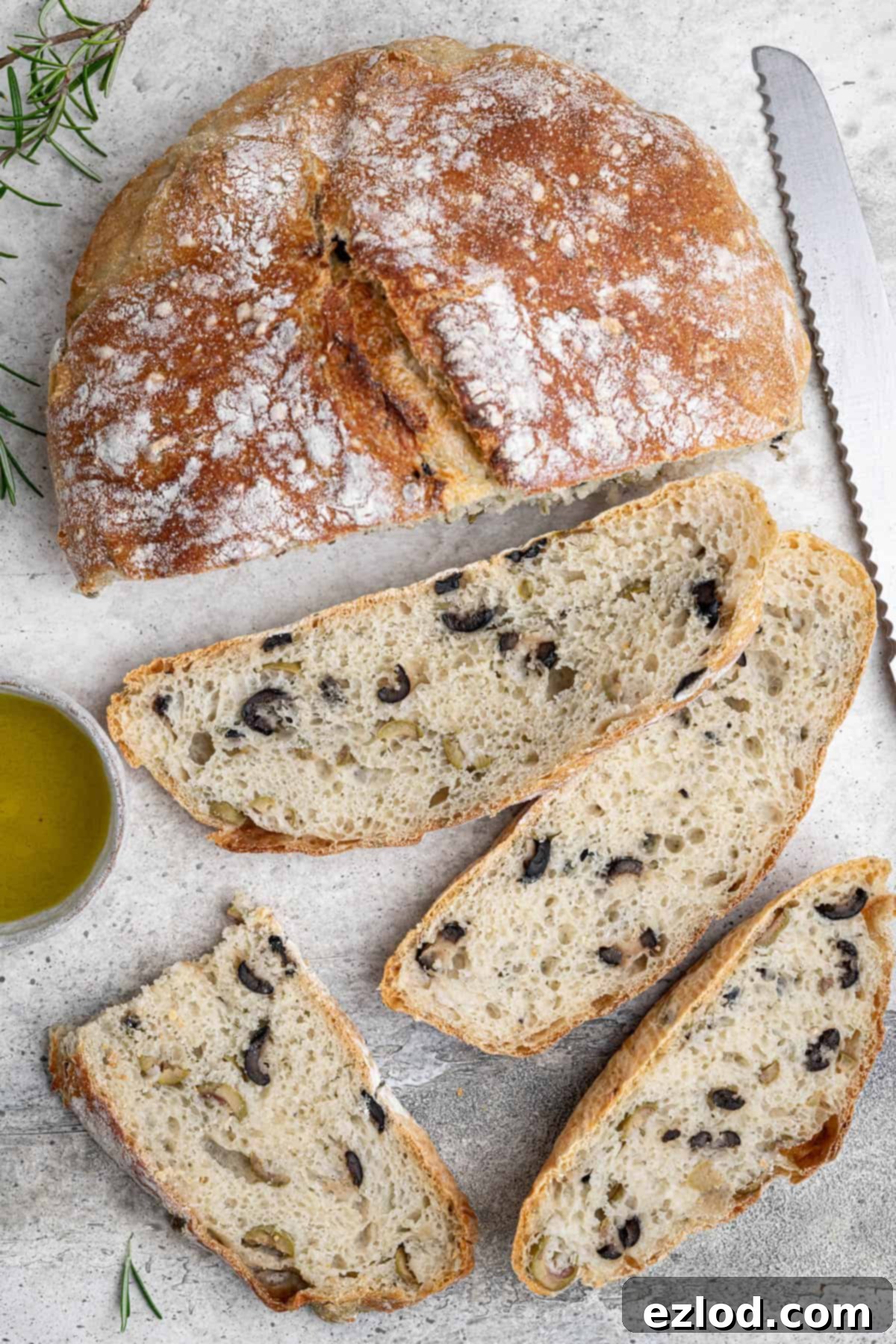 Multiple slices of crusty no-knead olive bread arranged on a grey surface, showcasing the open, airy crumb and visible pieces of olive.
