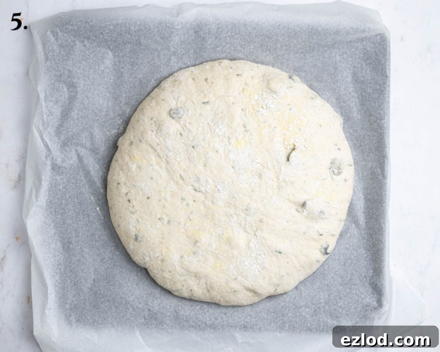 Step 5: The no-knead olive bread dough, after its final proofing, sits on baking paper, visibly expanded and ready for baking in the preheated Dutch oven.