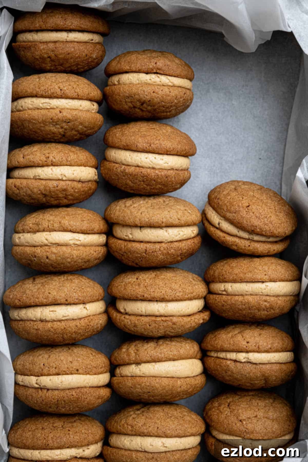 A close-up view of multiple rows of perfectly baked vegan coffee kisses resting in a parchment-lined tray, ready for serving.