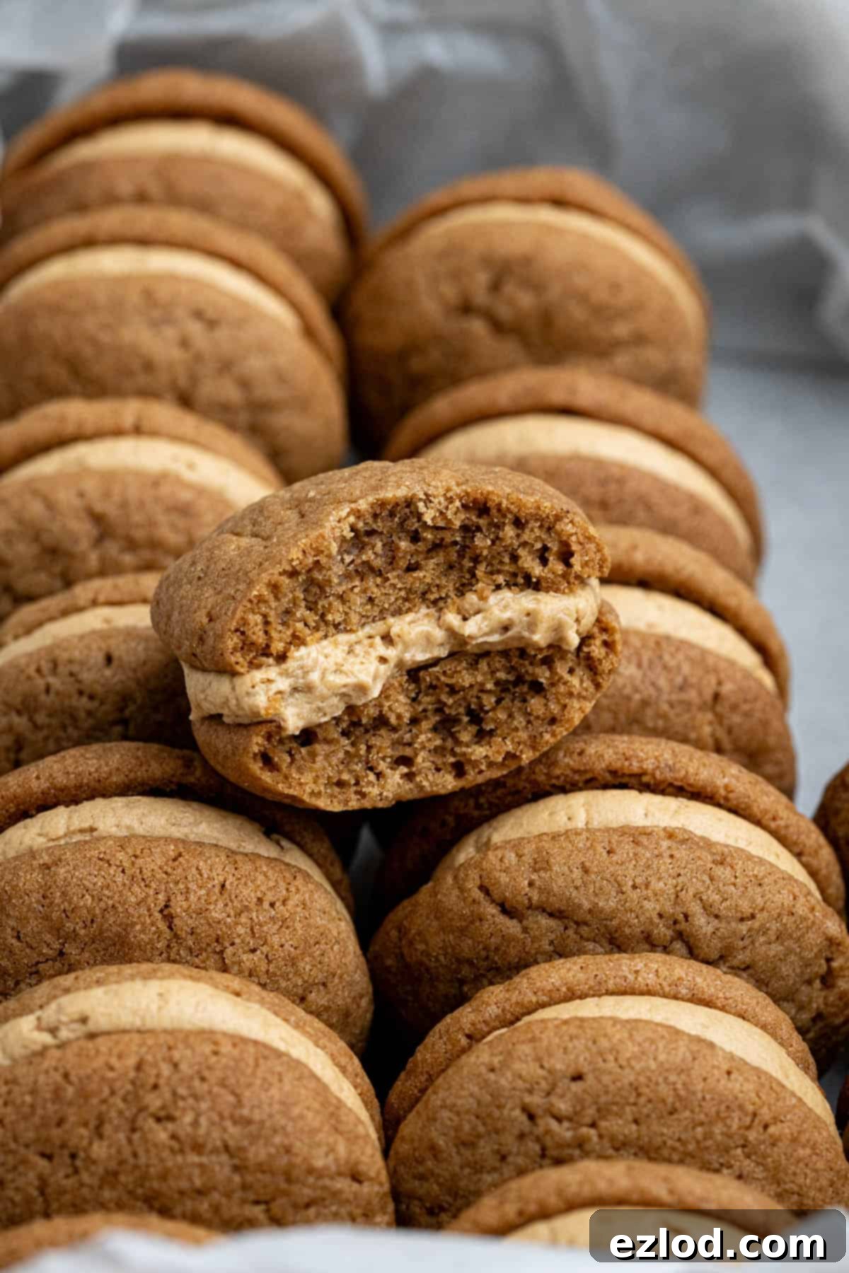 Close up view of a vegan coffee kiss biscuit with a perfect bite taken out, revealing the creamy coffee buttercream filling.