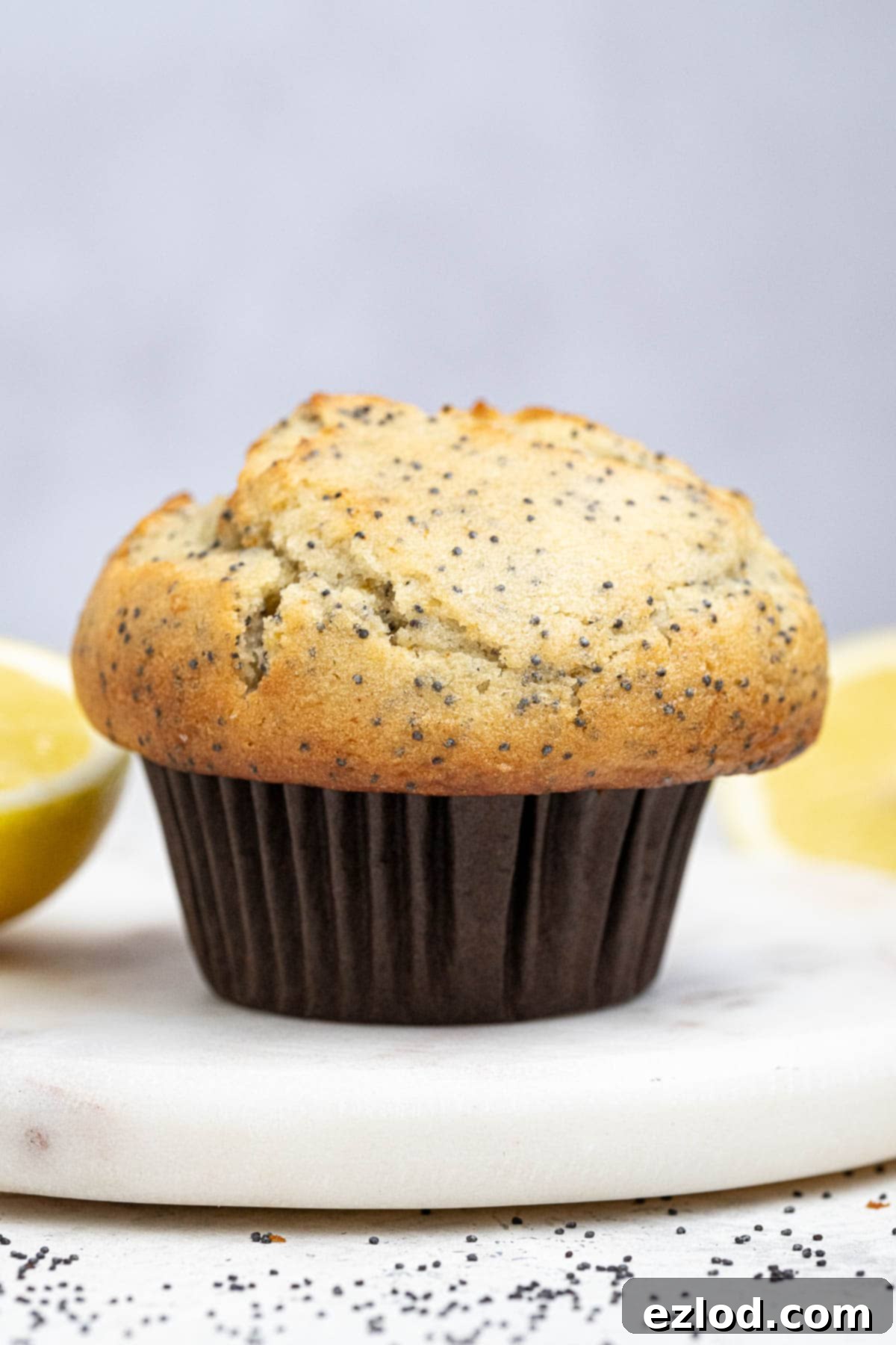 Vibrant Vegan Lemon Poppy Seed Muffins 2 A beautifully baked vegan lemon poppy seed muffin on a marble plate, showcasing its golden-brown top and tender crumb.