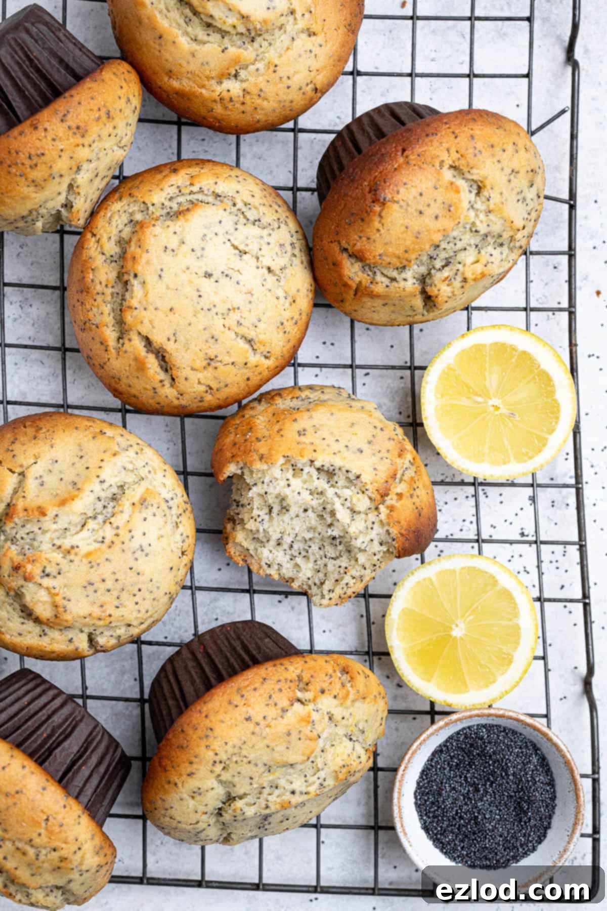 Vibrant Vegan Lemon Poppy Seed Muffins 4 Rows of freshly baked vegan lemon poppy seed muffins with perfectly formed tall tops, cooling on a wire rack.