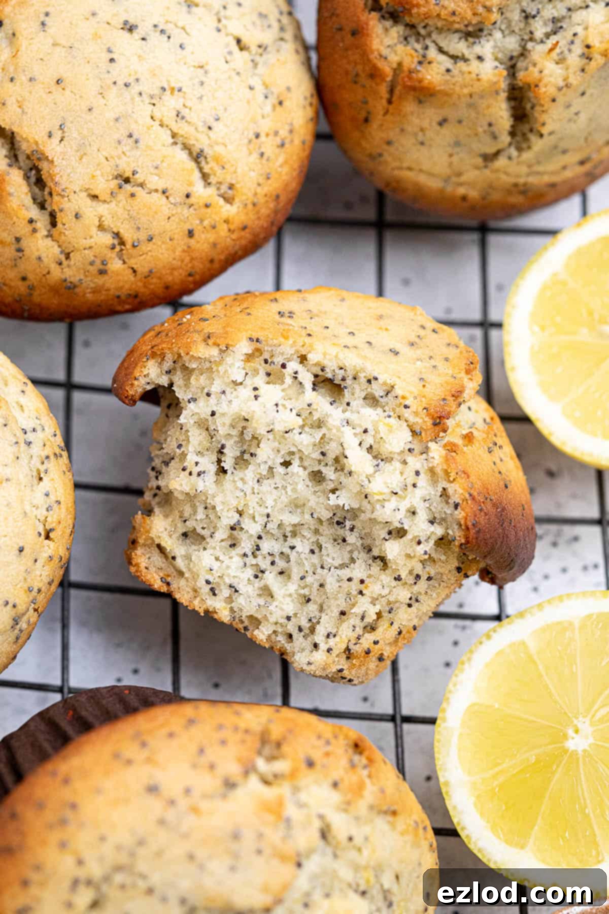 Zesty Vegan Lemon Poppy Seed Muffins 10 A close-up of a vegan lemon poppy seed muffin with a bite taken out, revealing its soft, airy crumb and poppy seeds.