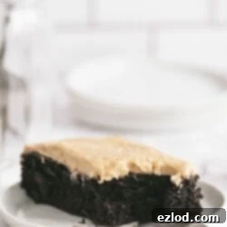 Decadent Gluten-Free Chocolate Peanut Butter Cake 7 Delicious Gluten-Free Chocolate Cake with Peanut Butter Frosting, a healthy and clean dessert alternative for any occasion.