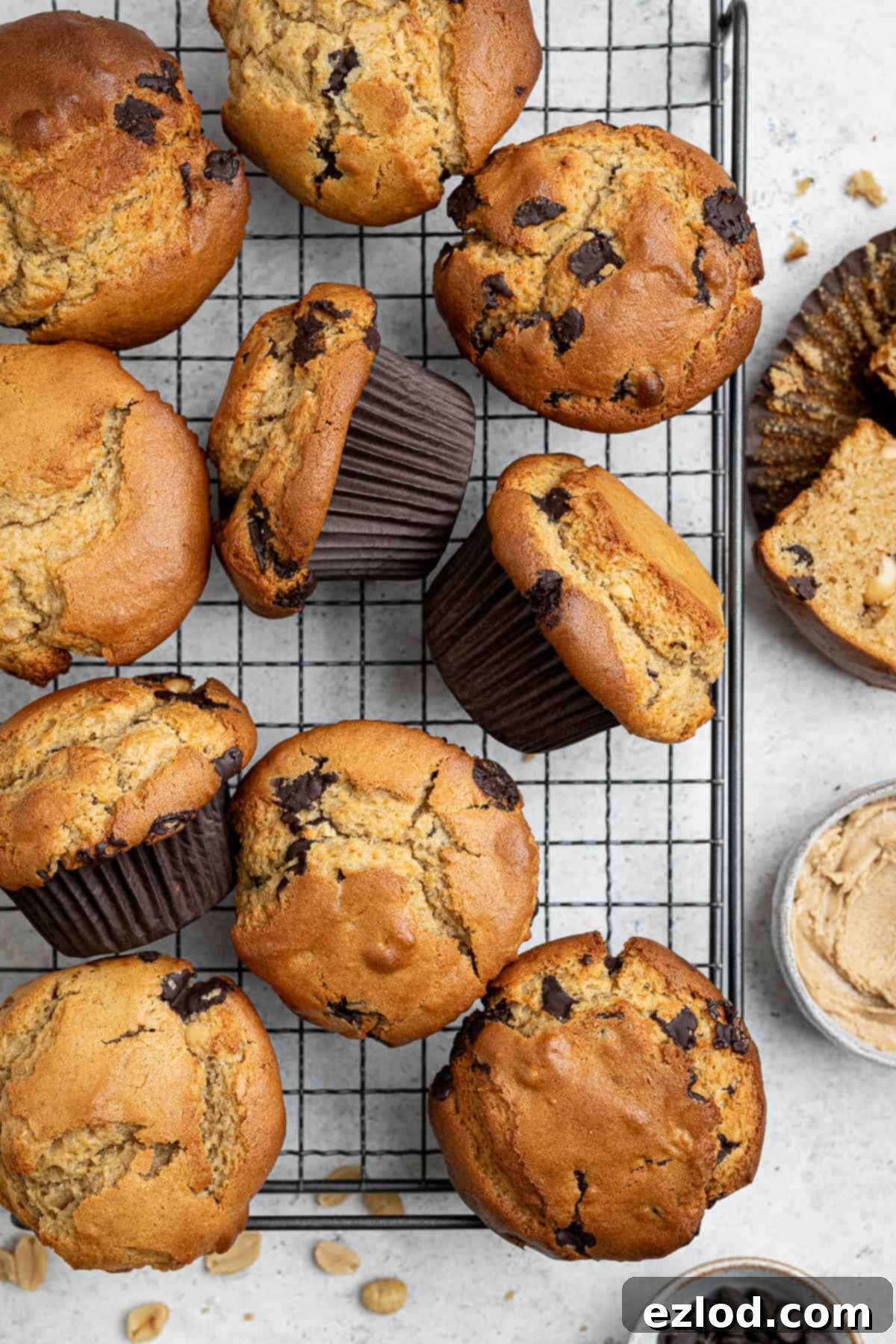 Vegan peanut butter muffins on a wire cooling rack.