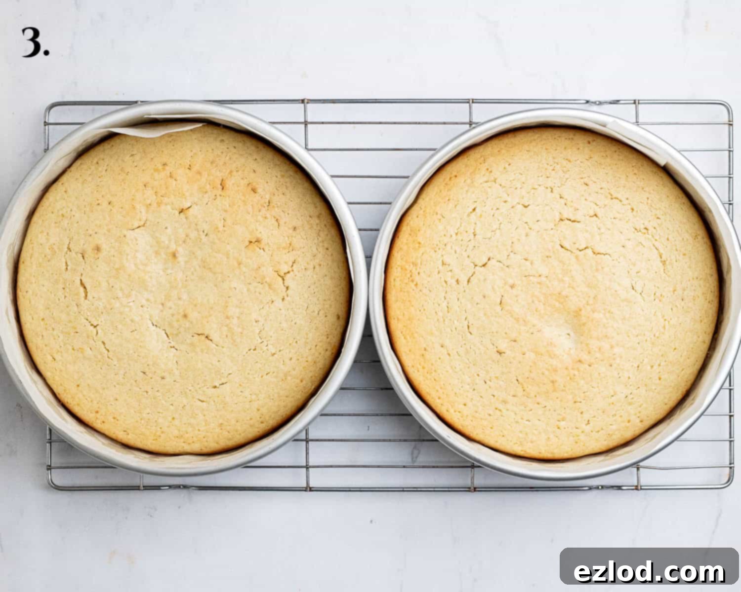 Step 3: Two perfectly baked vegan lemon cake layers, golden brown and ready to cool, still in their 20 cm cake tins.