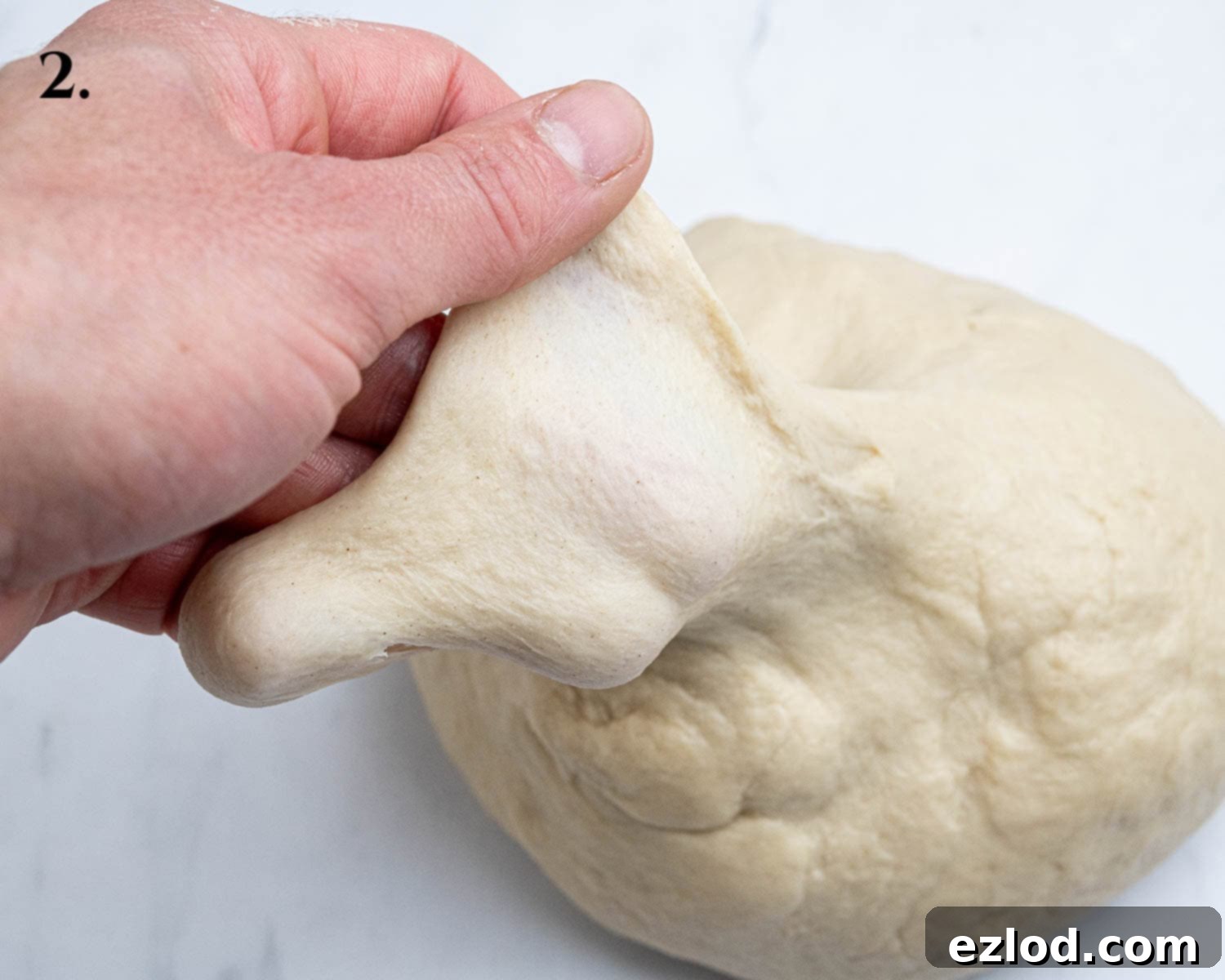 Step 2, the kneaded dough passing the windowpane test.