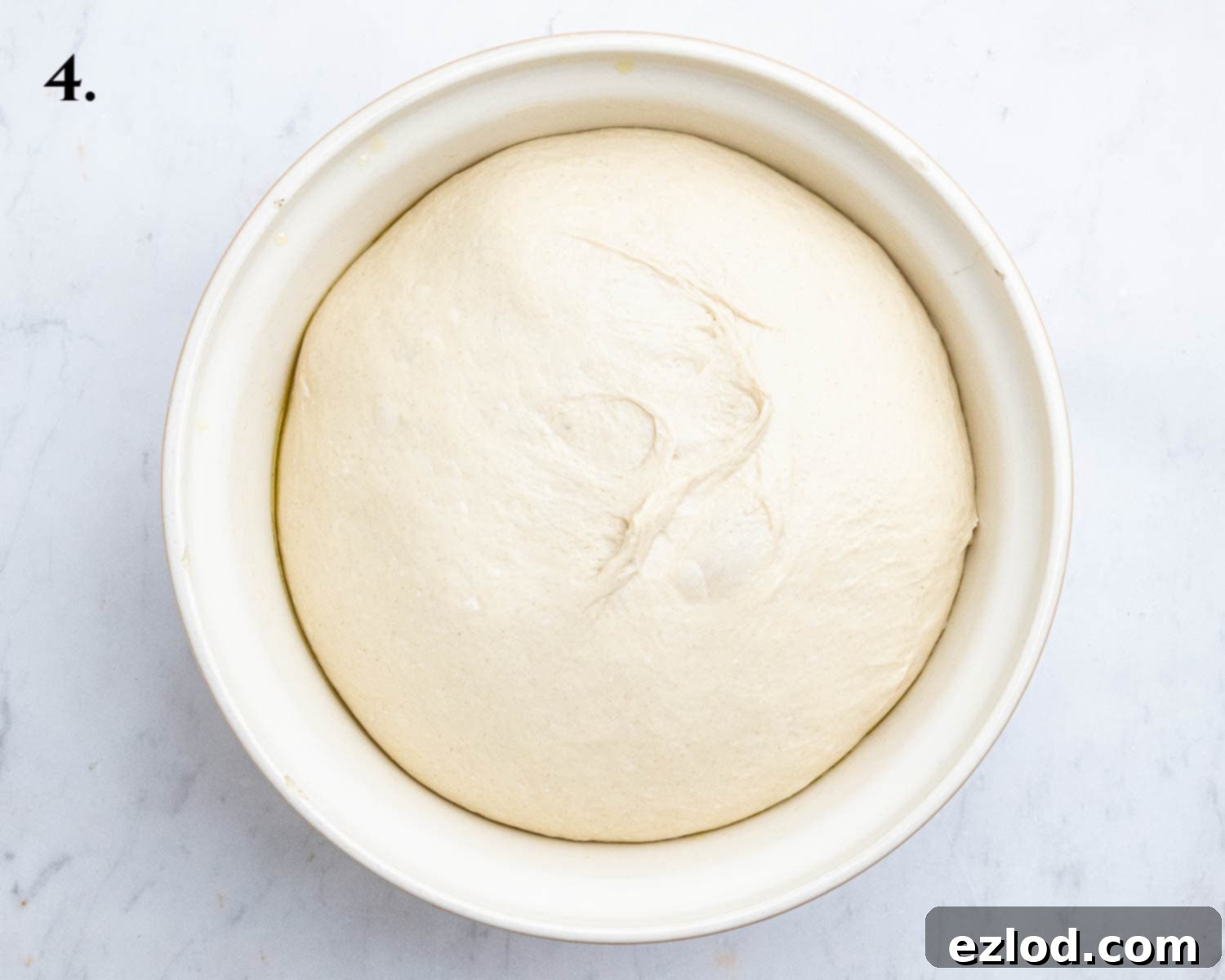 Step 4, the risen dough.