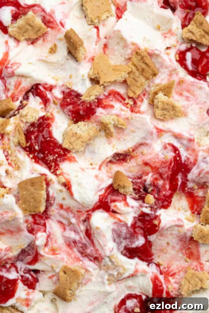A close-up shot of creamy vegan strawberry cheesecake ice cream, showing swirls of strawberry and biscuit pieces.