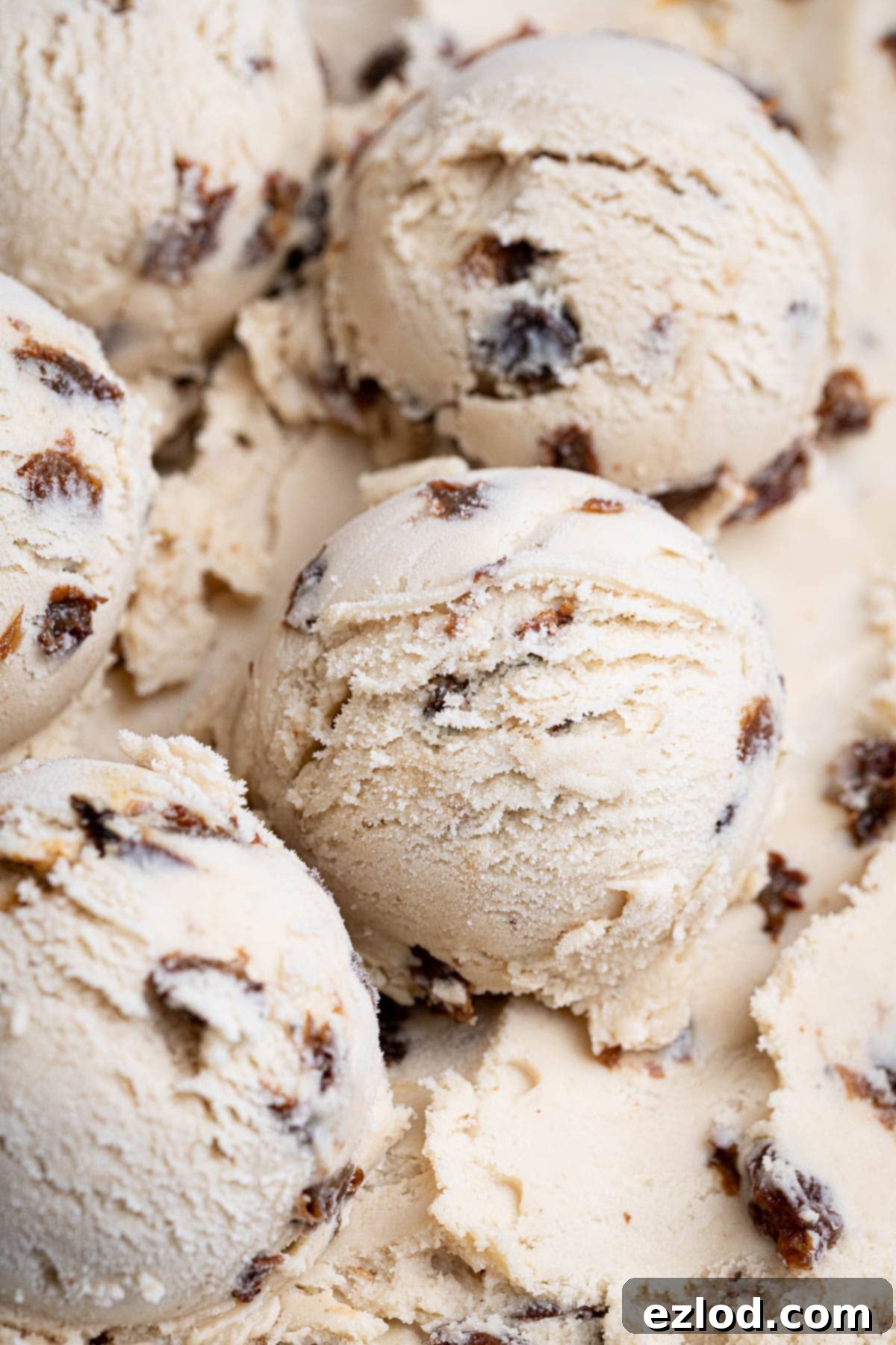 Close up of scoops of vegan rum and raisin ice cream.