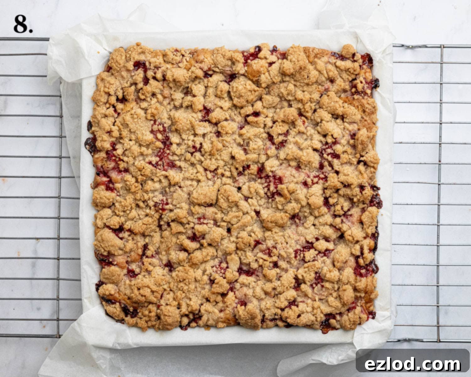 Vegan Strawberry Crumb Cake 12 Step 8: The finished, beautifully baked vegan strawberry crumb cake.