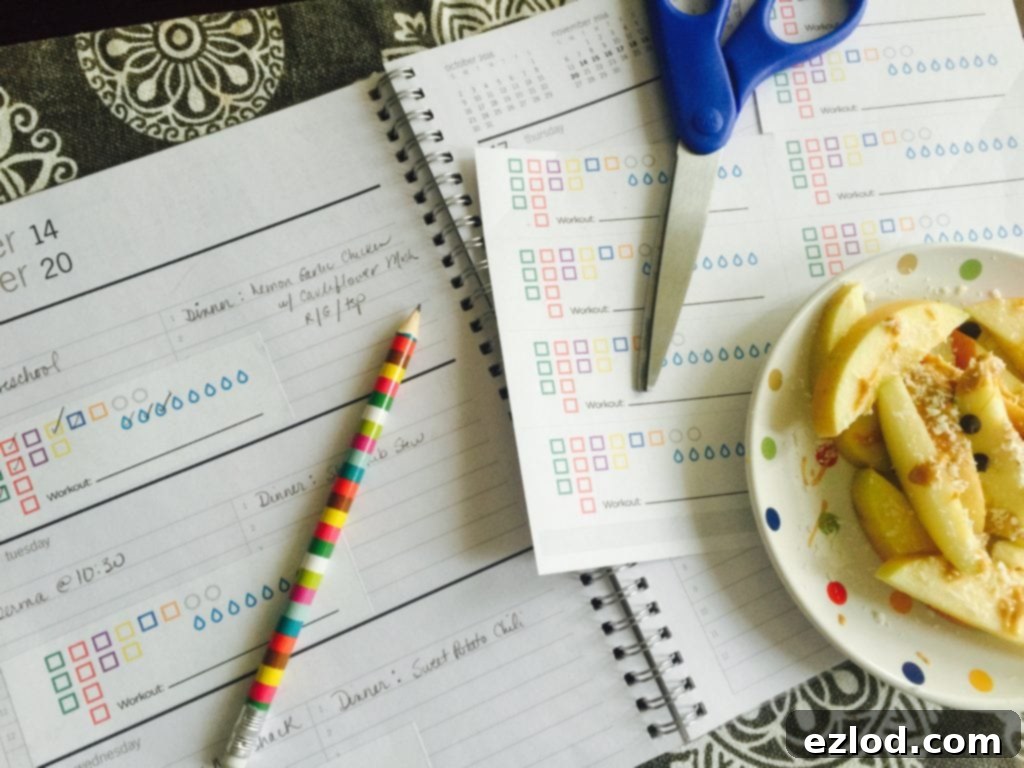 21 Day Fix Meal Plan Stickers